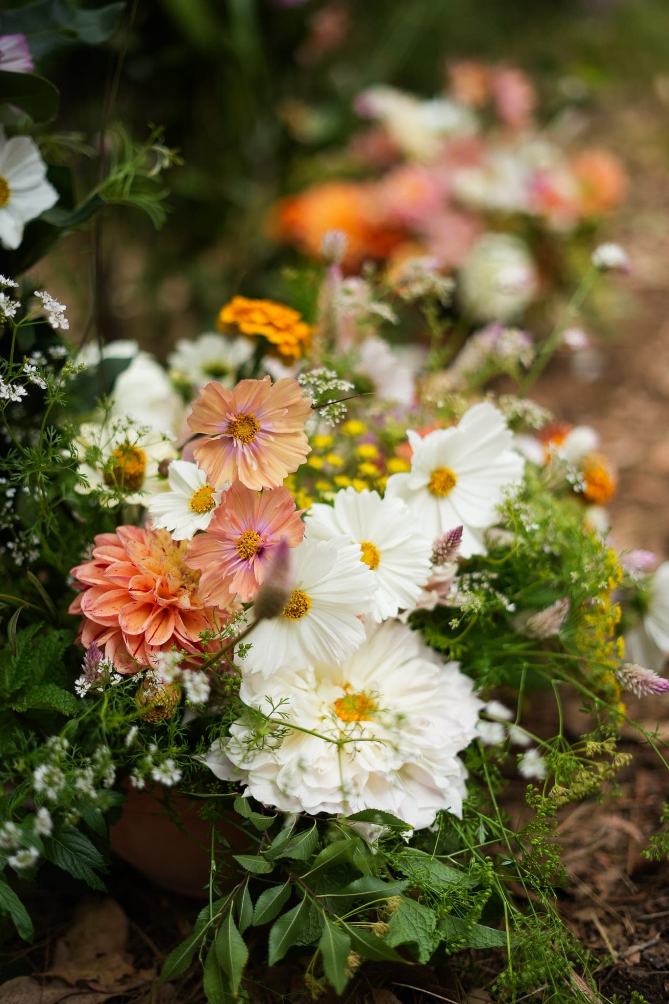 A loose seasonal arrangement in an urn — dahlias, cosmos and marigold.