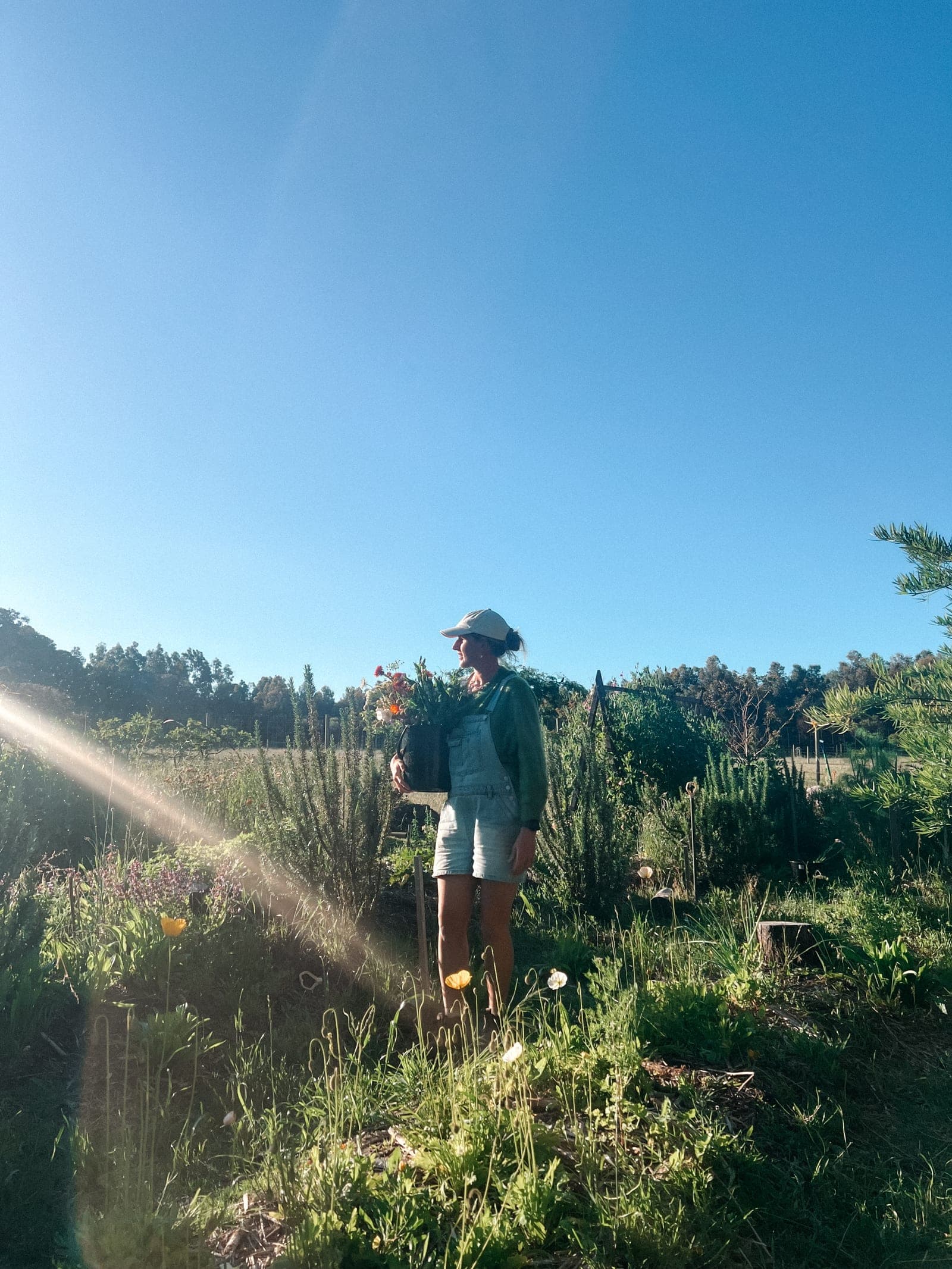 Grace carrying a bucket of just-cut flowers up through the rows at golden hour.
