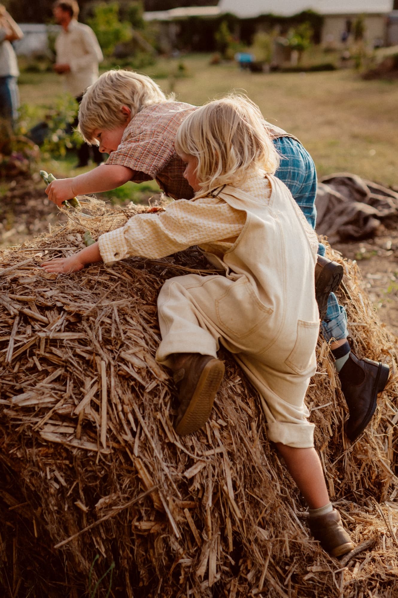 Kids climbing a hay bale at the farm.