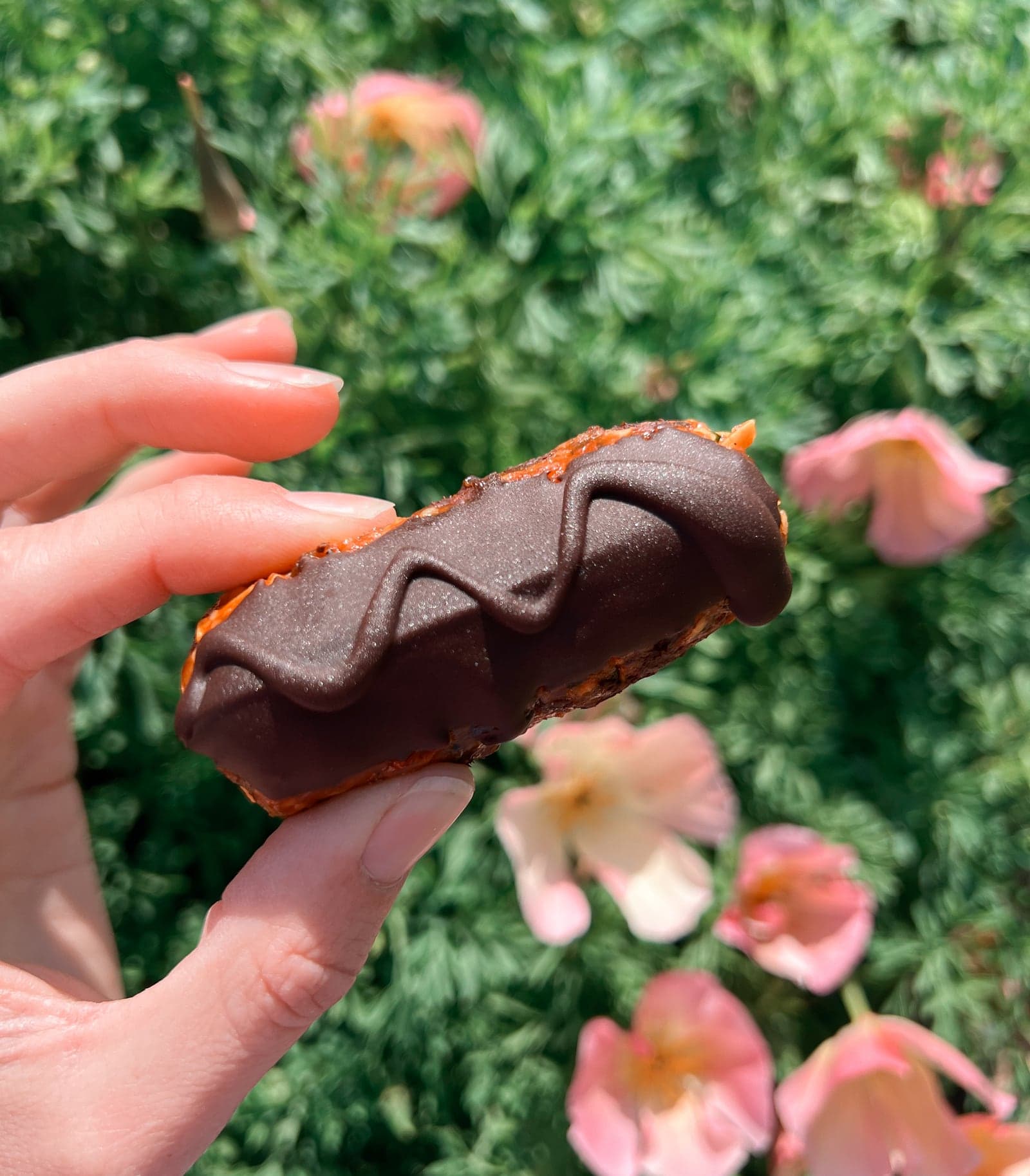 A chocolate-topped Mumma Feel Good slice held up against the flowering rows.