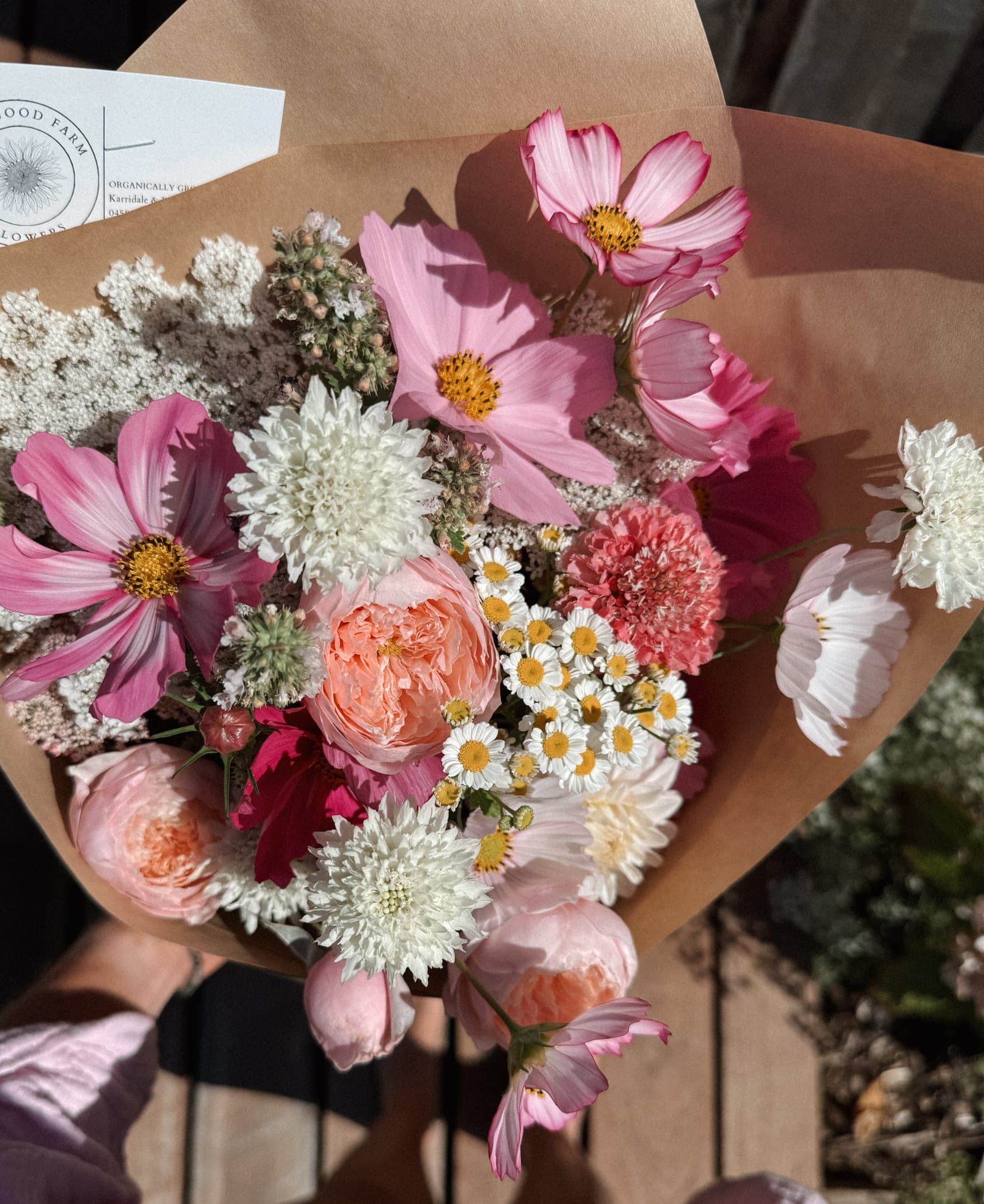 A summer bunch in kraft paper — cosmos, garden roses, scabiosa and feverfew in the sun.