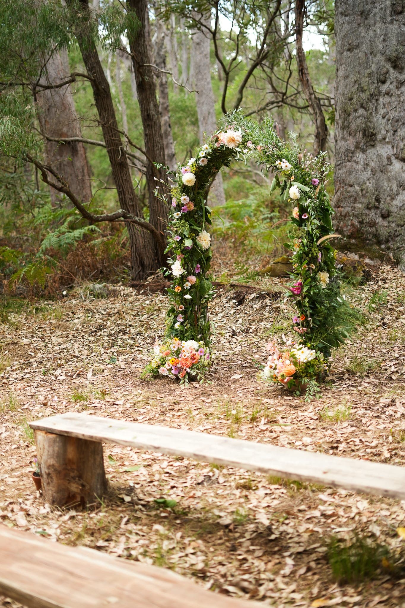 The ceremony arch from further back, timber benches set out on the forest floor.