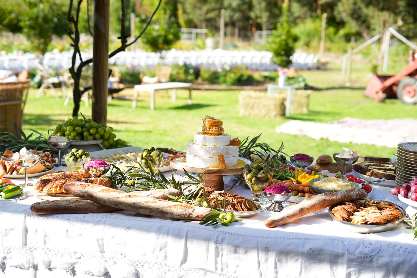 The grazing table laid out under the trees with the ceremony setup behind.
