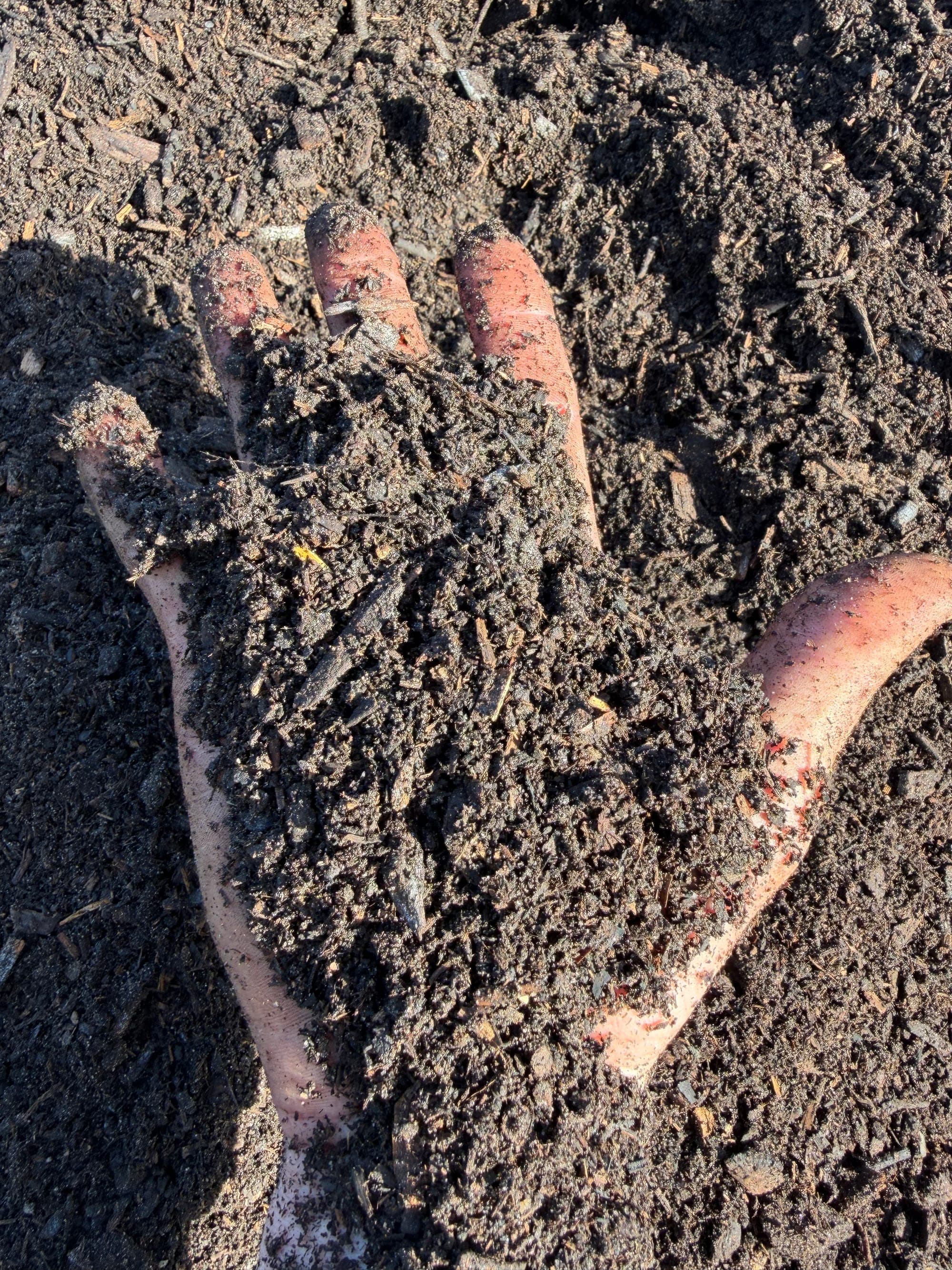 A handful of finished Wildsoil compost, dark and crumbling.