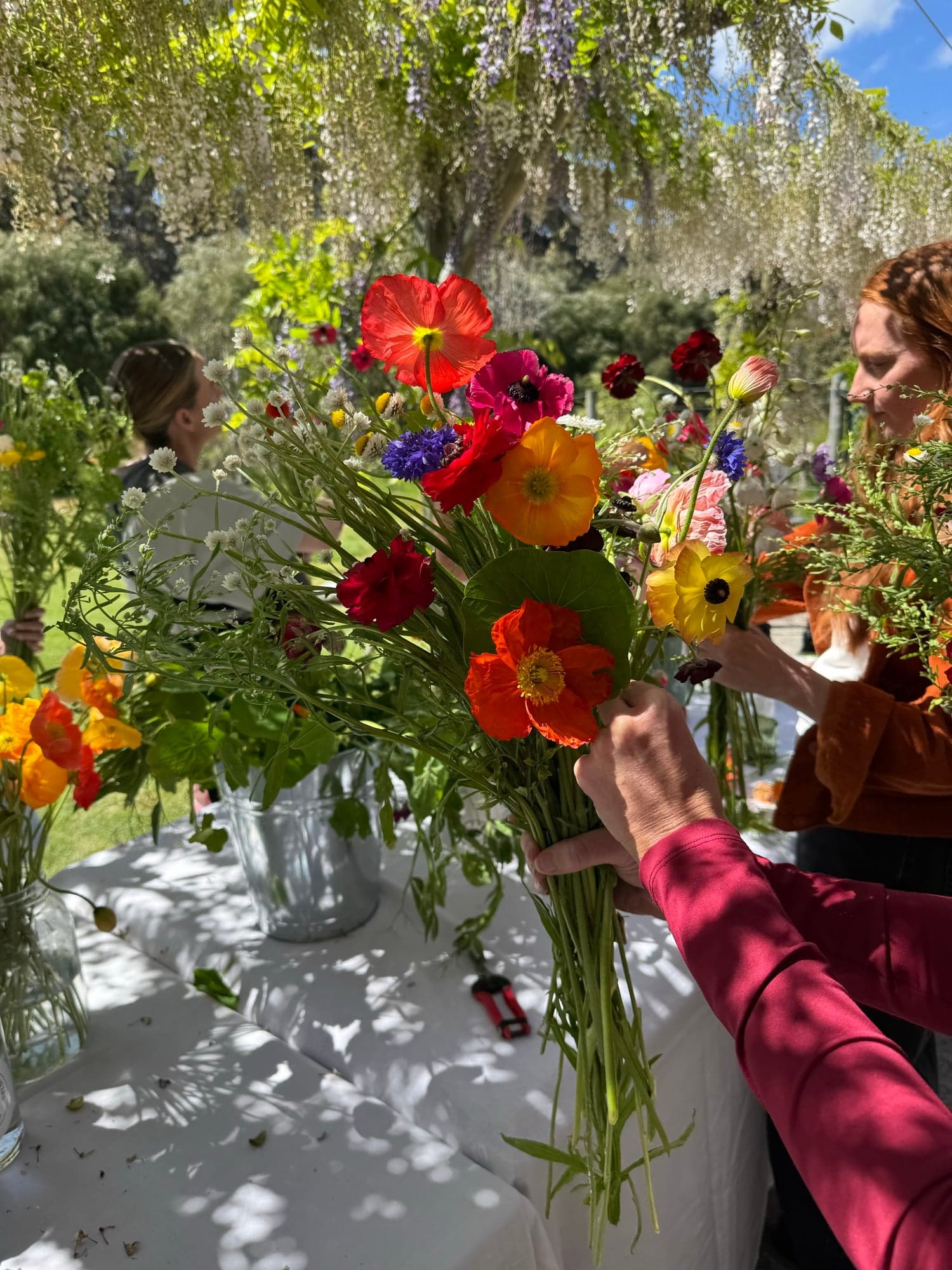 A just-made bouquet of poppies, ranunculus and cornflowers held up under the wisteria.
